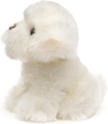 Plüschhund - Malteser