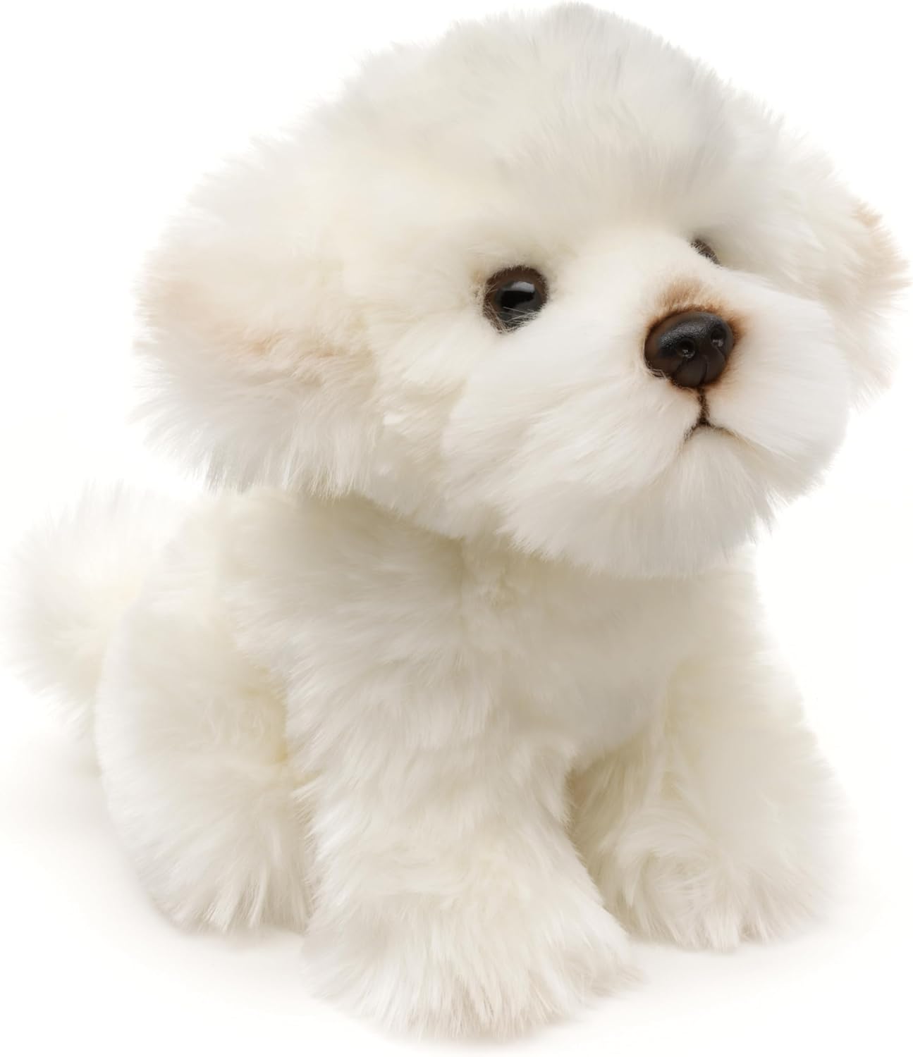 Plüschhund - Malteser