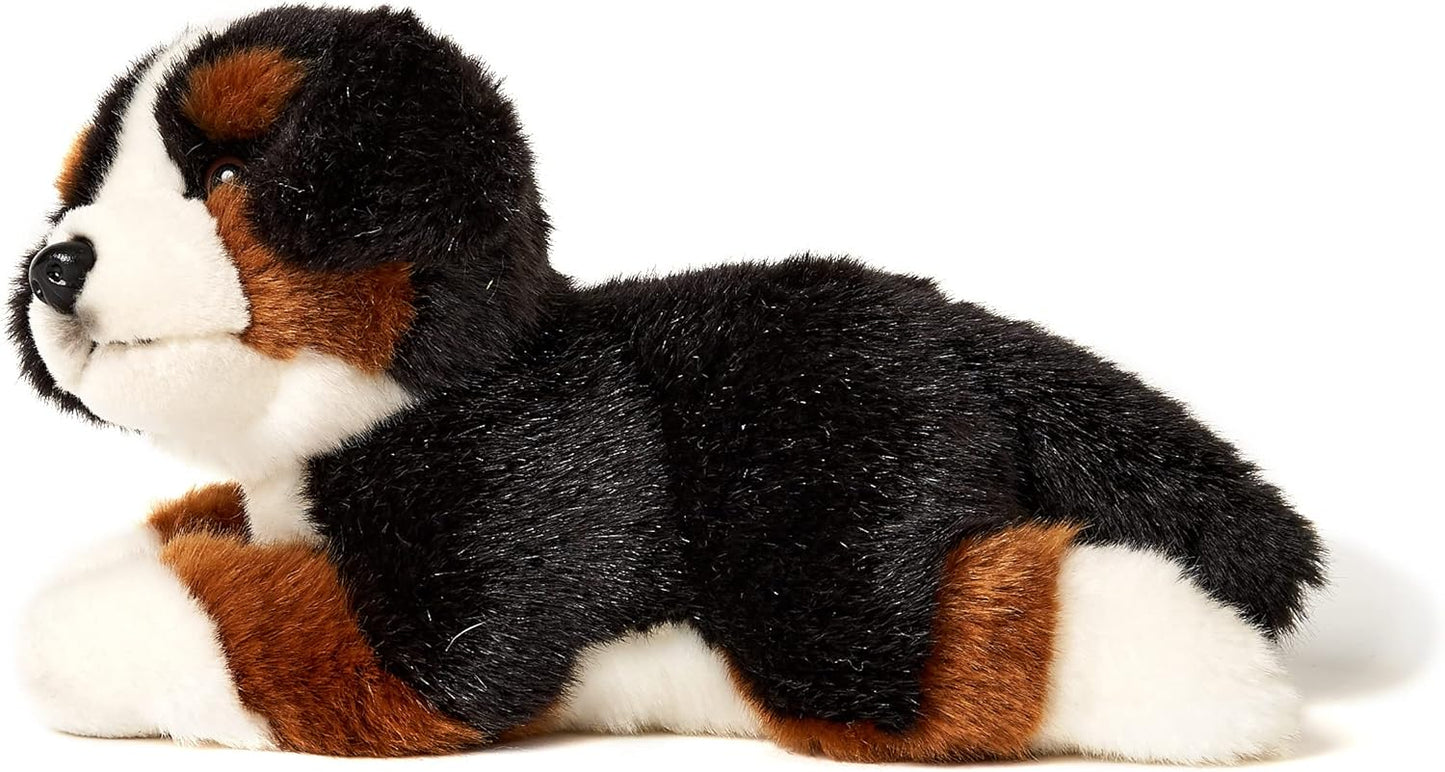 Plüschhund - Sennenhund Welpe